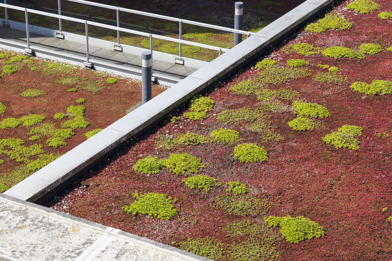 green astroturf patches on roof