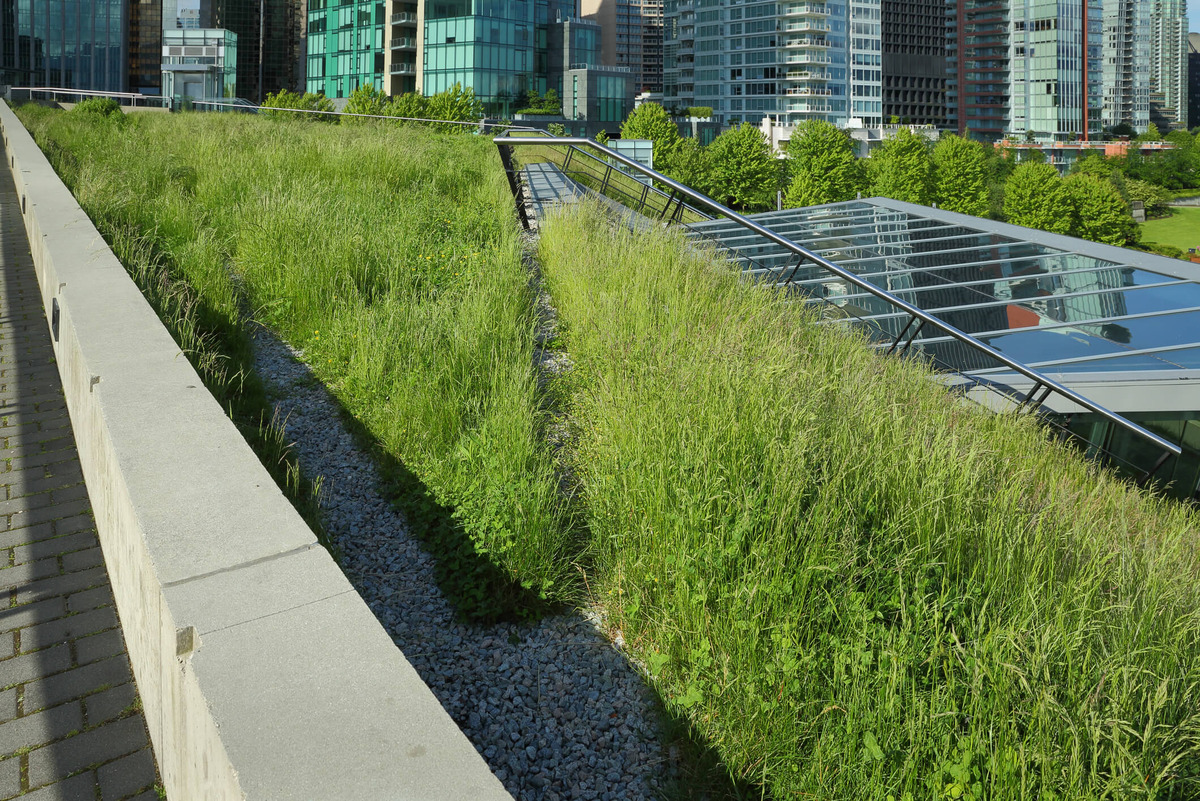 green landscape on a high-rise roof